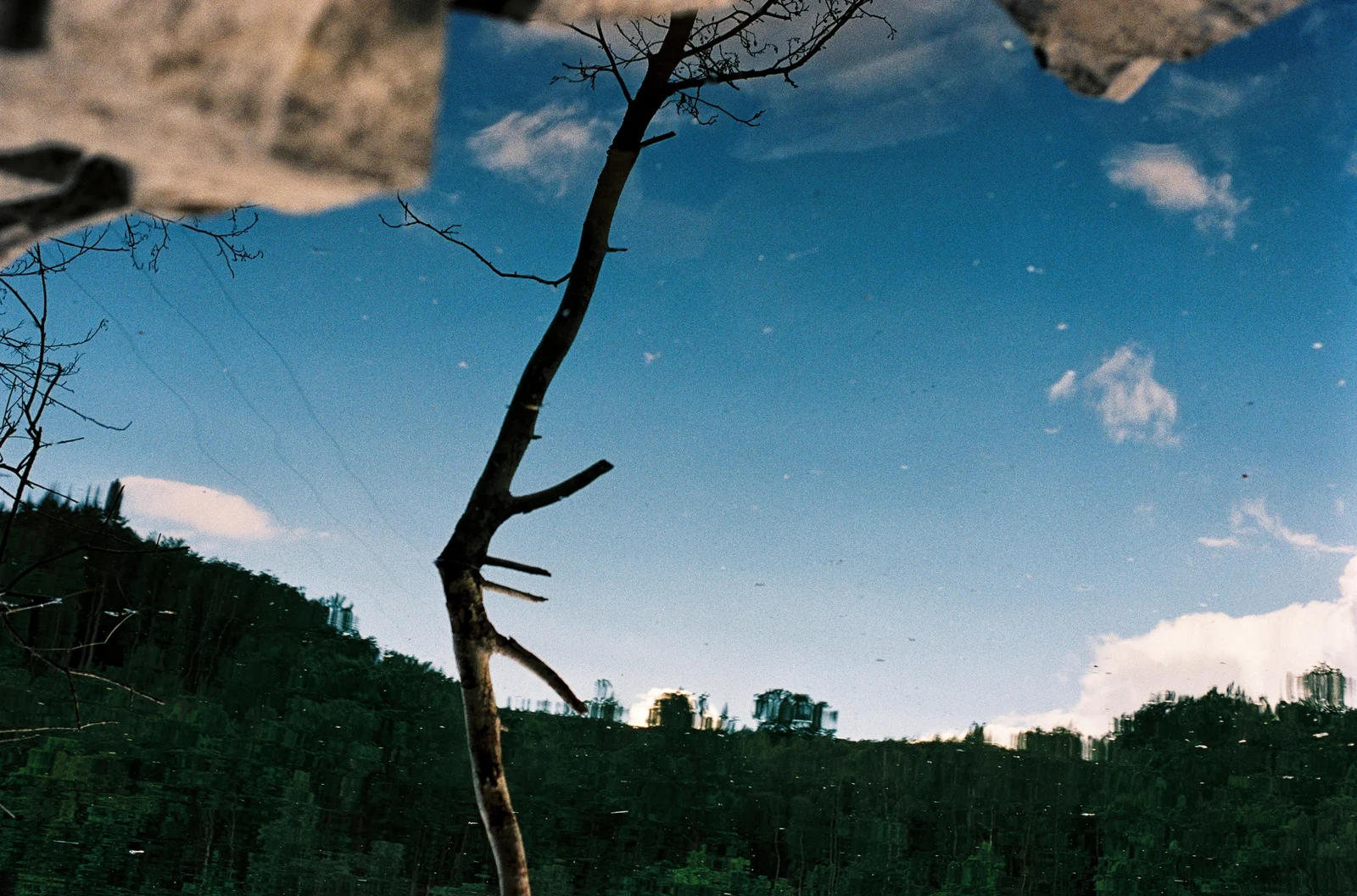 Blauer Himmel, Wolken und ein dunkler Baum spiegeln sich im Wasser. Steine am oberen Bildrand und gespiegelte Bäume lassen oben und unten ineinander übergehen.